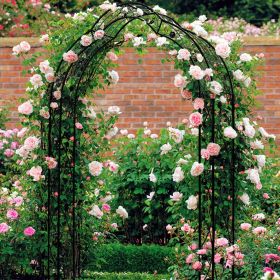 Metal Garden Arch Garden Arbor Trellis Climbing Plants Support Rose Arch Black