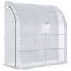 Walk-in Mini Greenhouse